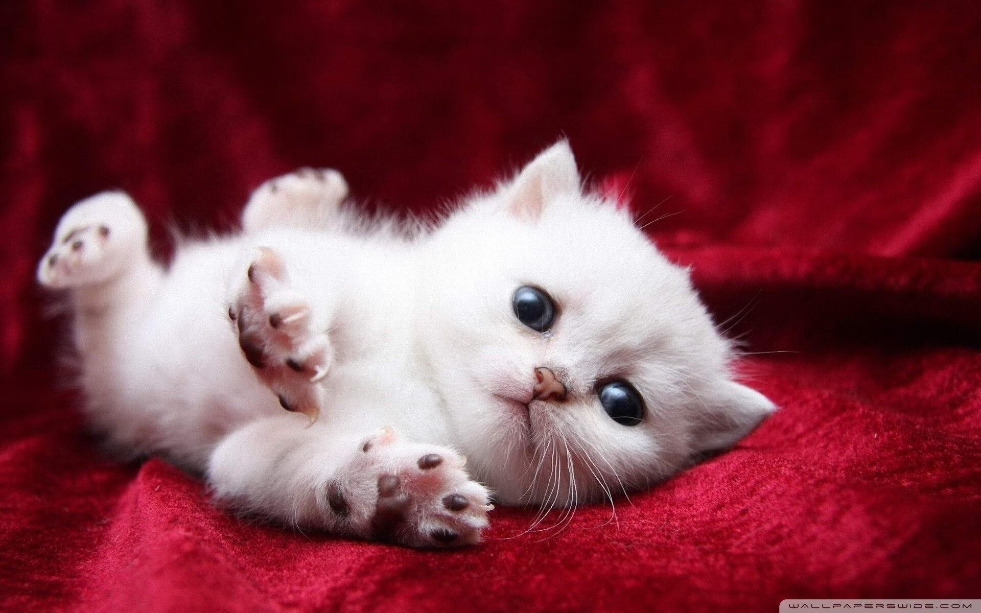 “智能训练系统助拳青训,提升少年技术全面发展”,智能训练仪器有用吗