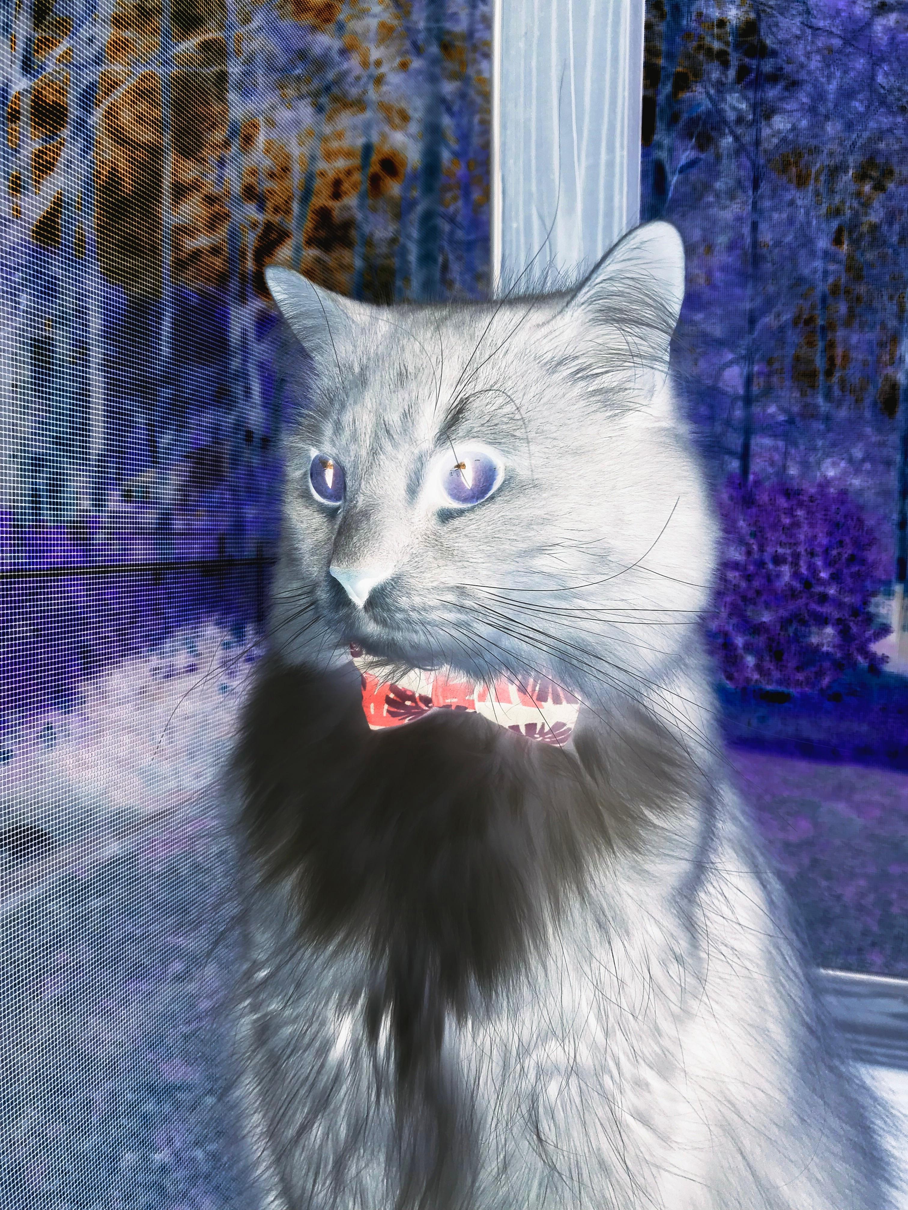 “科技革新：人工智能助力赛场变革”，人工智能高科技