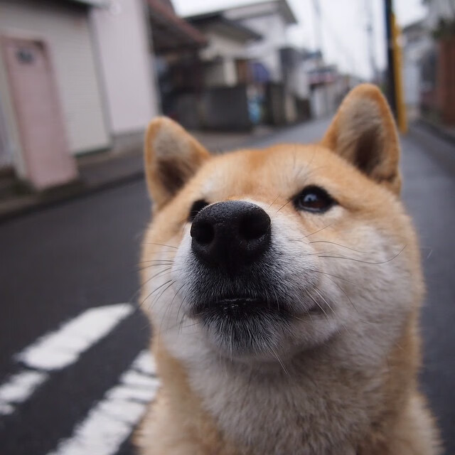 “西甲激烈争夺,豪门血拼,悬念不断”,豪门三强挥金如土,赚足流量的西甲联赛迎来新伙伴