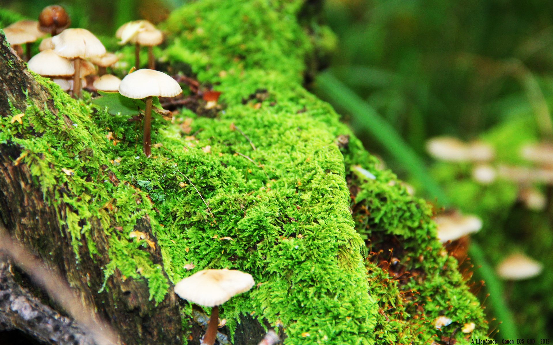 《Dota 2年度盛事，超级战队再度冲击最高荣誉》，dota2超级兵出现条件