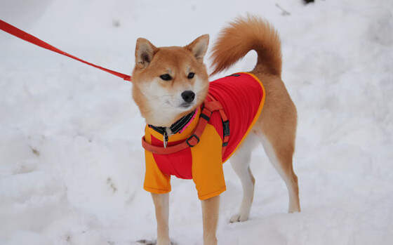 《Dota 2漫威对决,英雄们的传奇战场》,漫威对决官方网站