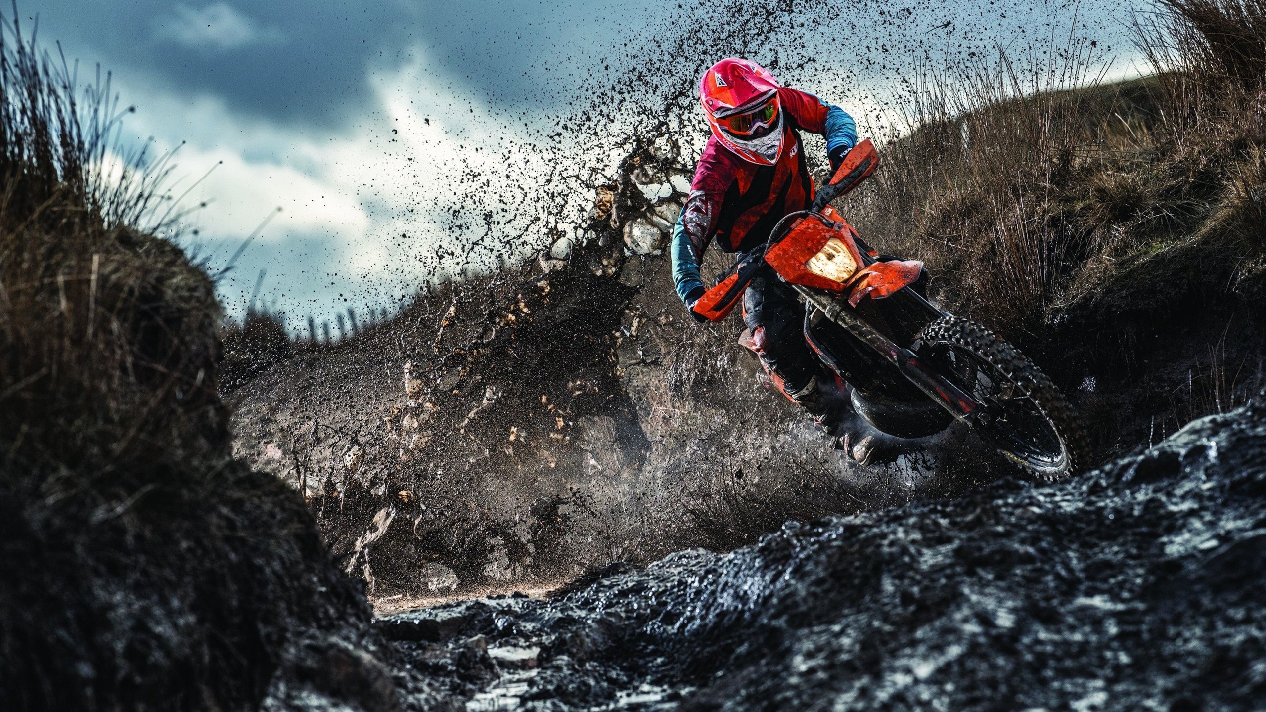 伊朗队教练：我们把沙漠经验带进了雪地，伊朗现任主教练