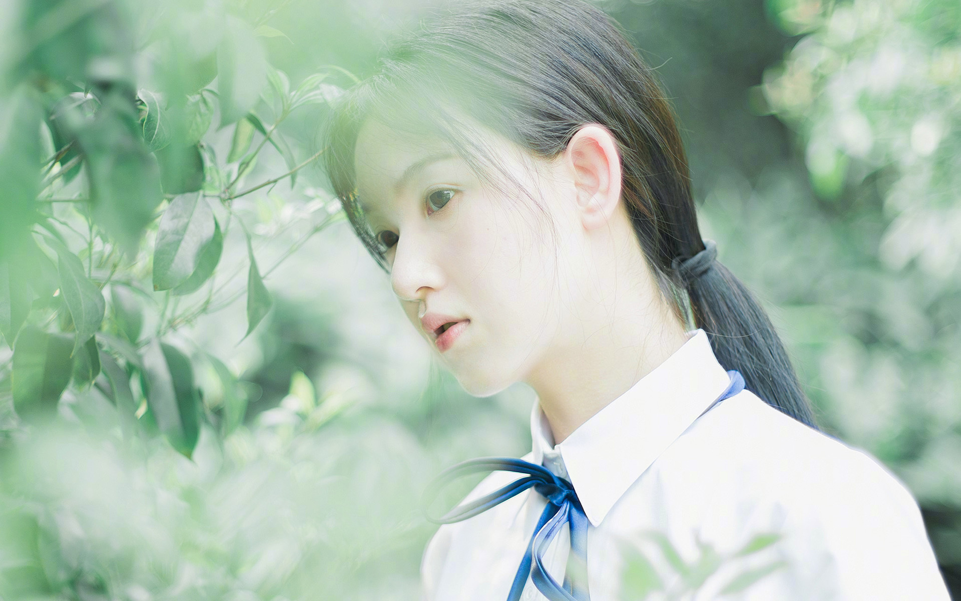 史上最狂“抢断”王：他在季后赛中多次单场5+抢断！，nba抢断王历史排名