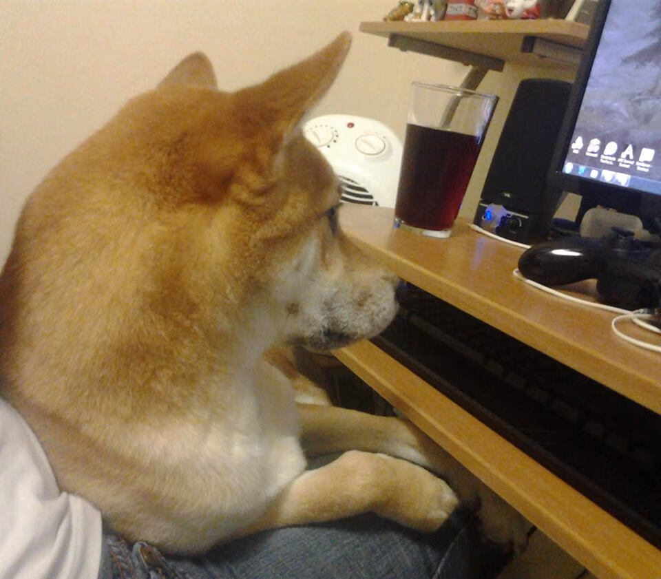 九游电脑版-“智能裁判系统在中超首次应用，保障比赛公平公正”，人工智能足球裁判