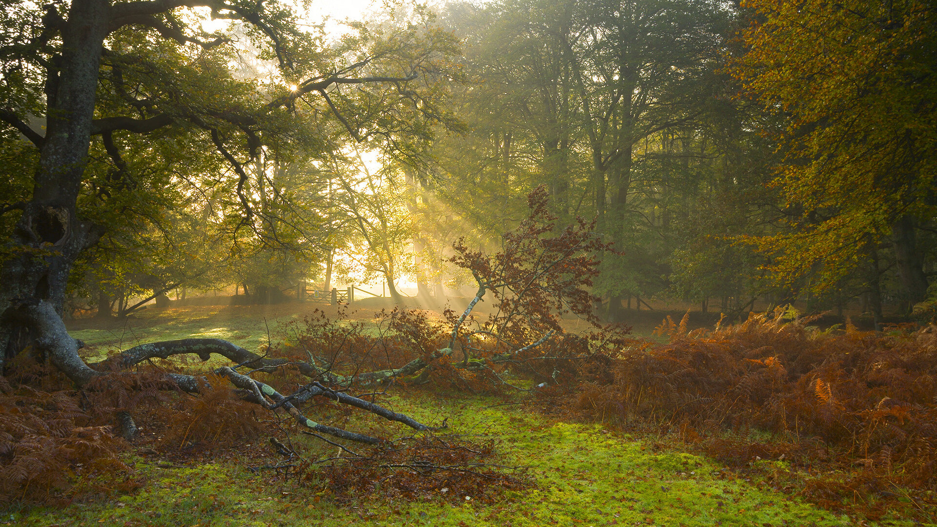 九游官网pc-“青少年足球公益推广在边远地区掀起高潮”，青少年公益足球计划