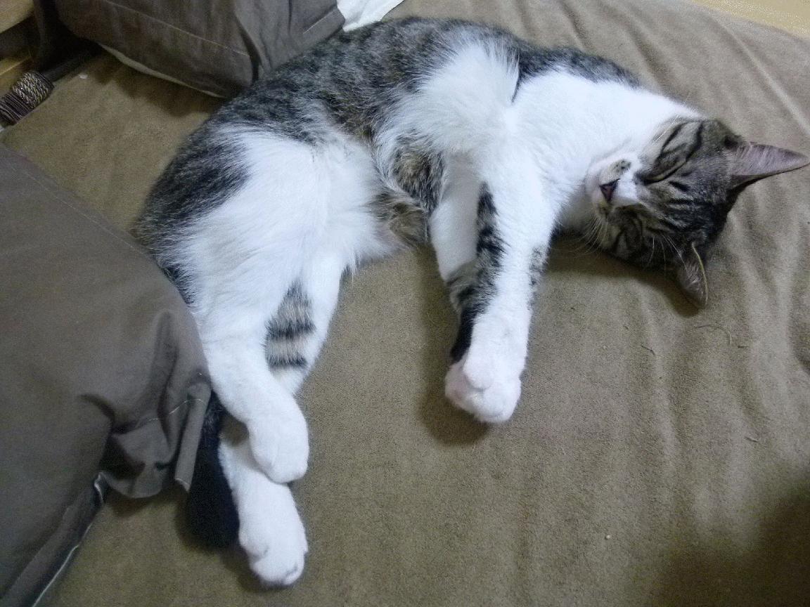 九游sports-“青训+产业”融合创新，行业发展突破瓶颈迈上新台阶