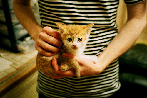 《2025英雄联盟全球总决赛,冠军悬念即将揭晓》,2050英雄联盟全球总决赛冠军