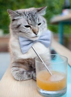 《CS_GO欧洲巡回赛,Fallen领衔AG战队惊艳表现》,csgo欧洲发展冠军联赛