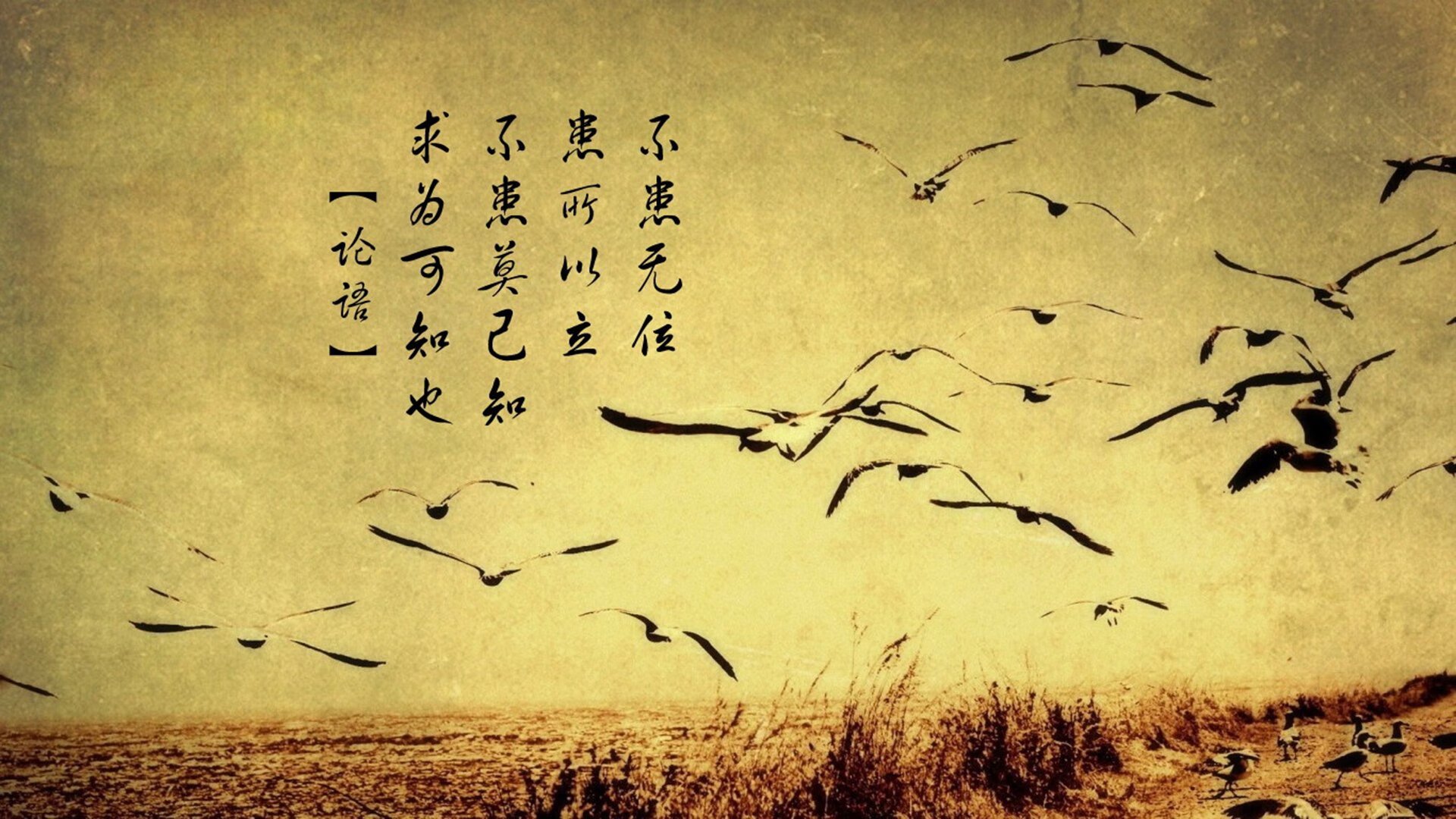 《电子竞技为何能崛起？行业专家详解》，电子竞技为什么这么火