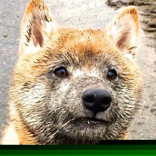 九游娱乐官网 (jiuyou)-《电子竞技产业链：从比赛到周边产品》，电子竞技产业定义