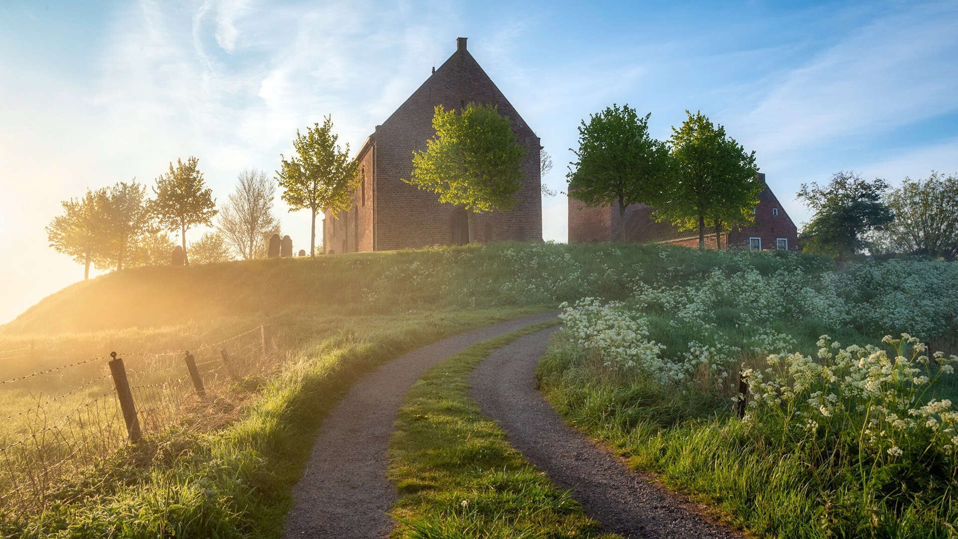 《电竞明星登陆综艺：赛场之外的精彩表现》，电竞明星队