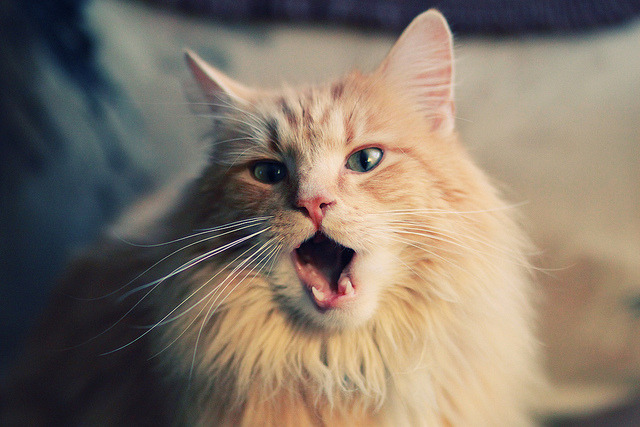 九游app下载中心-《青少年电竞策略：培养兴趣与防止沉迷兼得》，青少年电子游戏