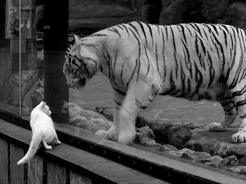 【名将人生】运动员职业生涯中的转折点与心路历程,运动员职业生涯结束说说