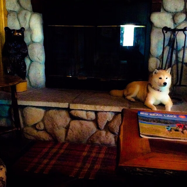 九游(jiuyou)官方网站-【技术剖析】奥沙利文：罚分争议背后的战术深思，奥沙利文超分很多对手还打