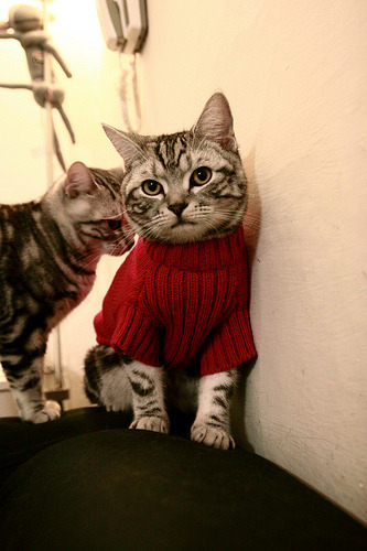 【赛后分析】赛季关键比赛的战术点评,赛季联赛调整一次进攻防守级数