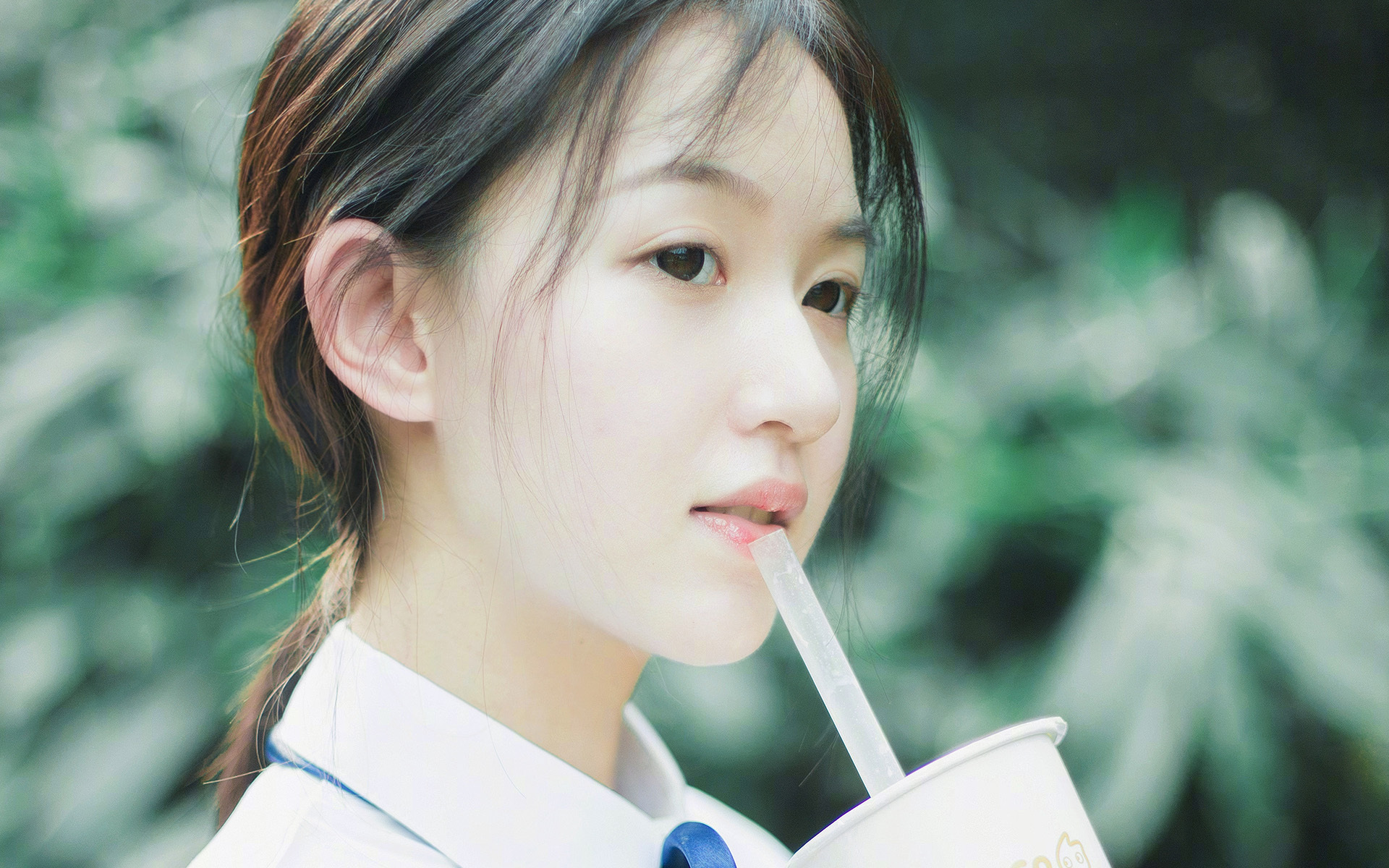 不莱梅追平德甲纪录，后防表现出色，不莱梅 球队