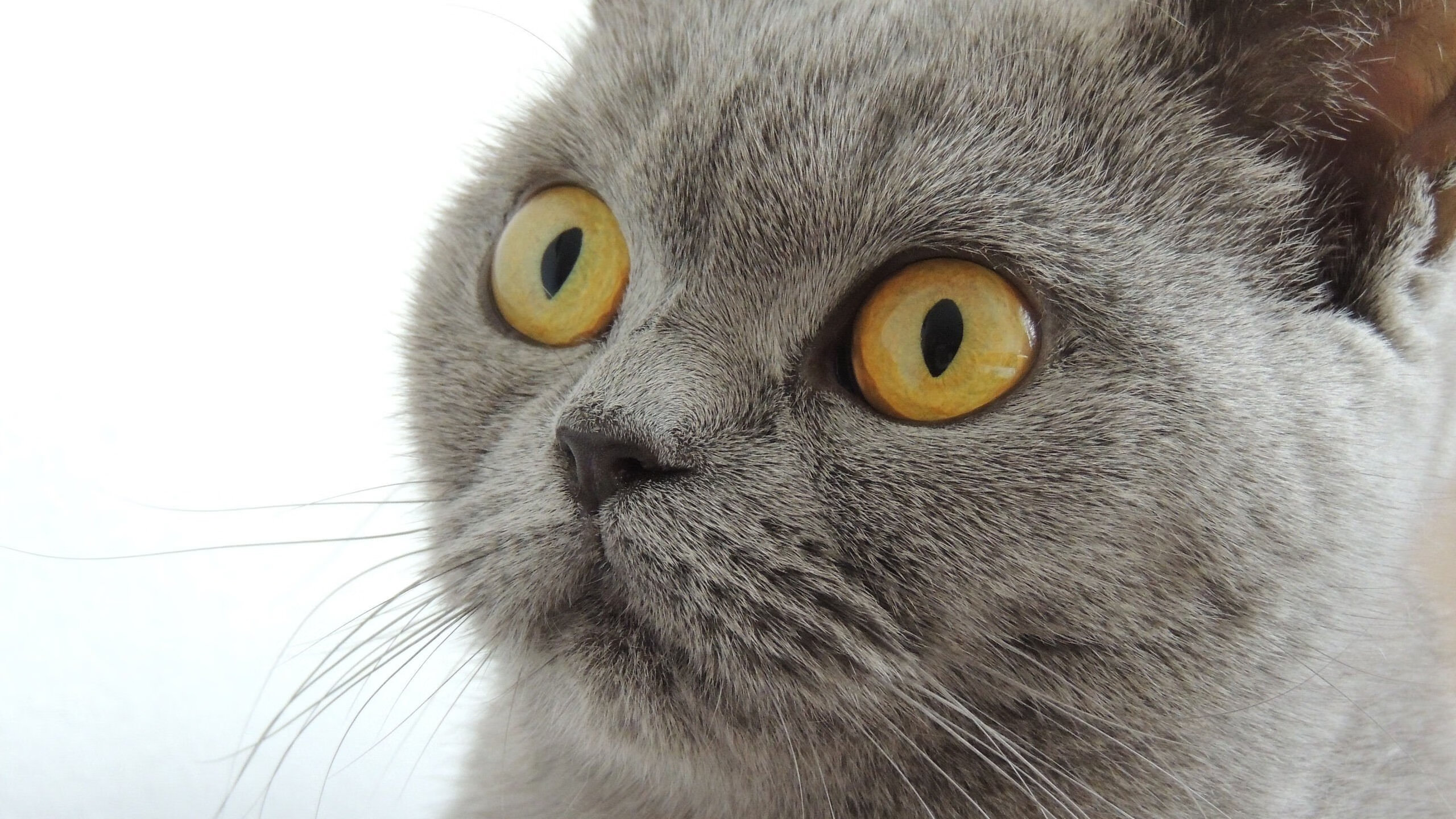 专业滑板赛,街头文化引领运动潮流,滑板选拔赛