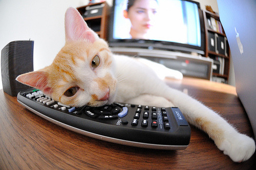 中国足球产业链创新项目展现强劲增长势头,中国足球产业的现状分析