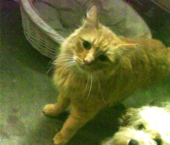 乌拉圭男足在巴黎奥运会上取得历史性成绩，乌拉圭足球运动员历史排名