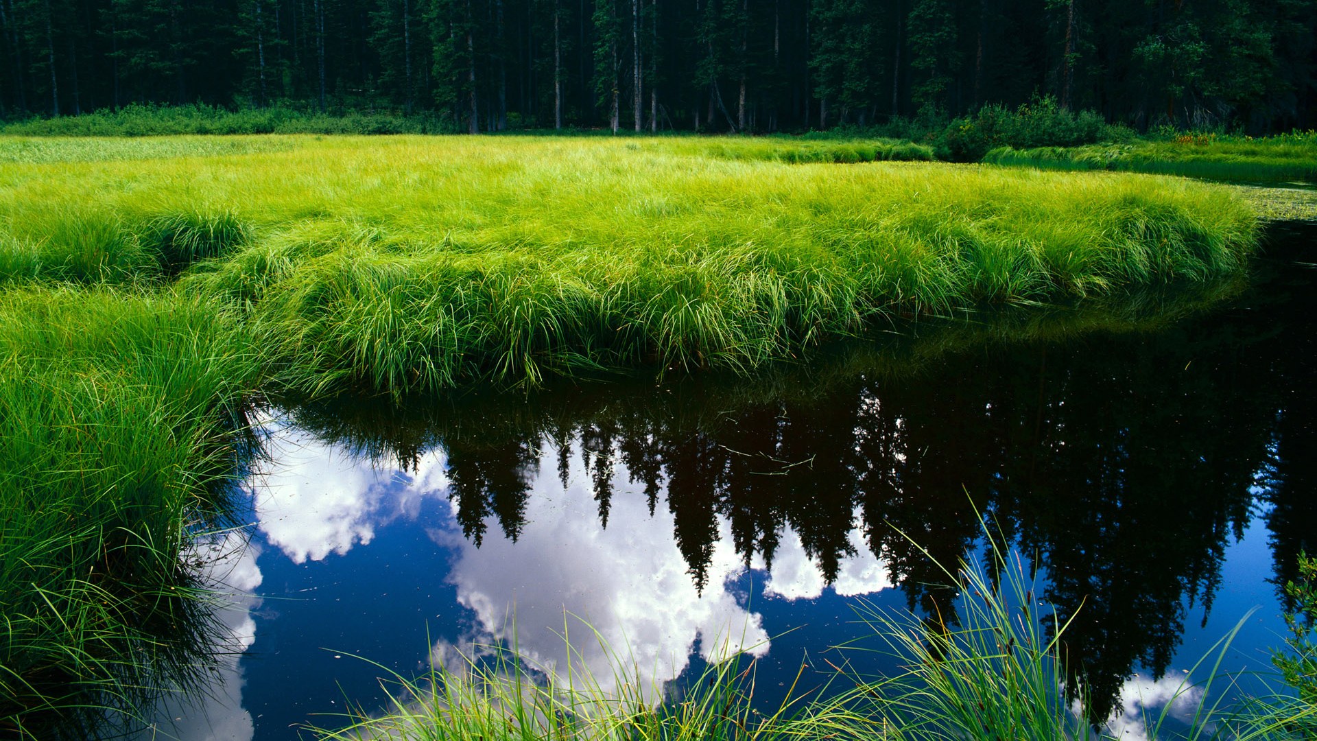 乌拉圭男足在巴黎奥运会比赛中表现出色，赢得奖品，乌拉圭足球冠军