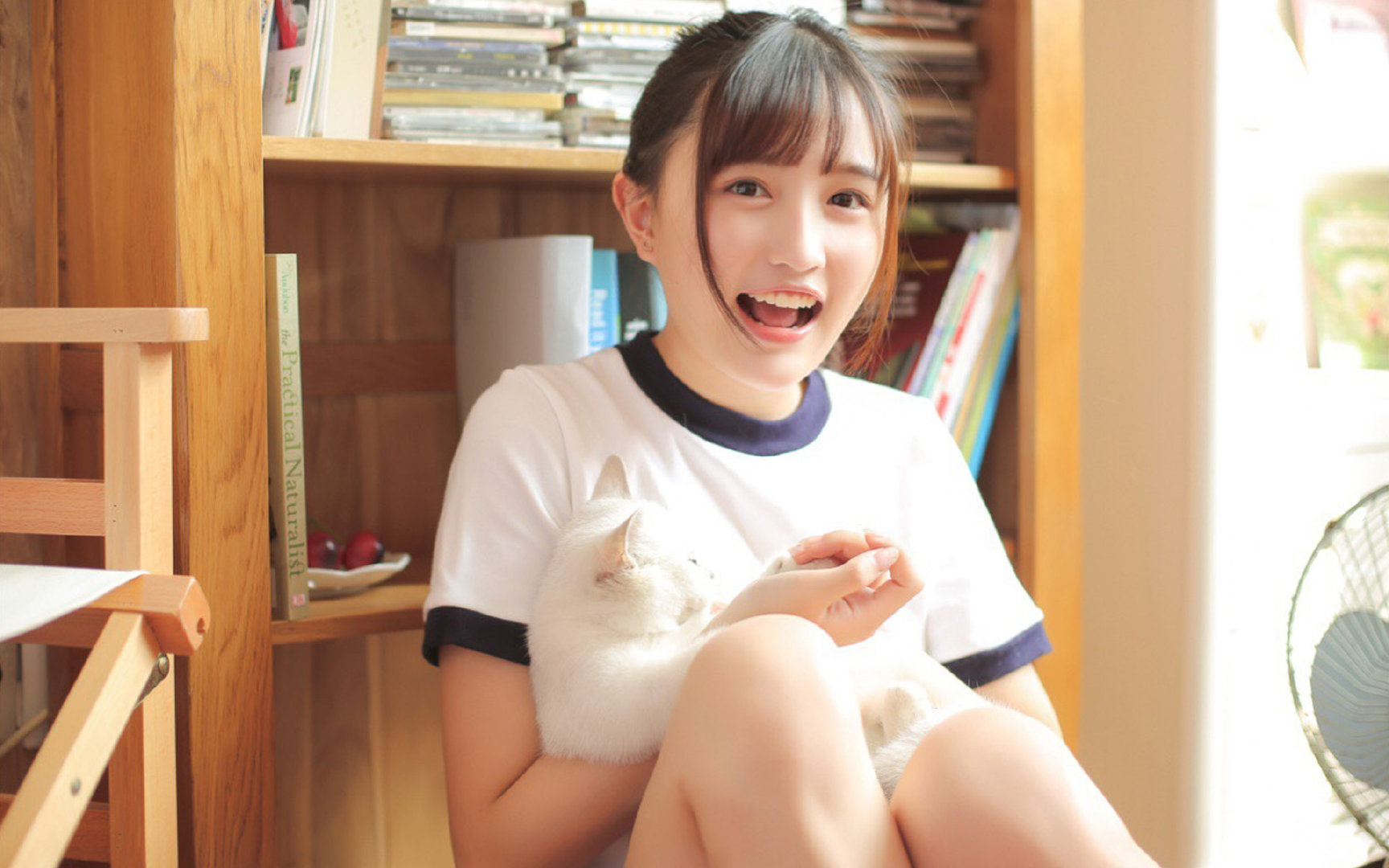 全能运动会：多项赛事一站式体验，全能运动比赛有几项