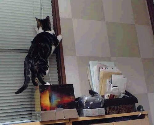 全面升级的智能训练设施助力青少年篮球训练提速，篮球体智能