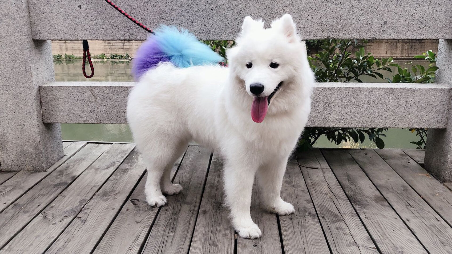 利物浦大逆转夺冠梦，热刺客场不敌，积分差距进一步拉大，利物浦ⅴs热刺