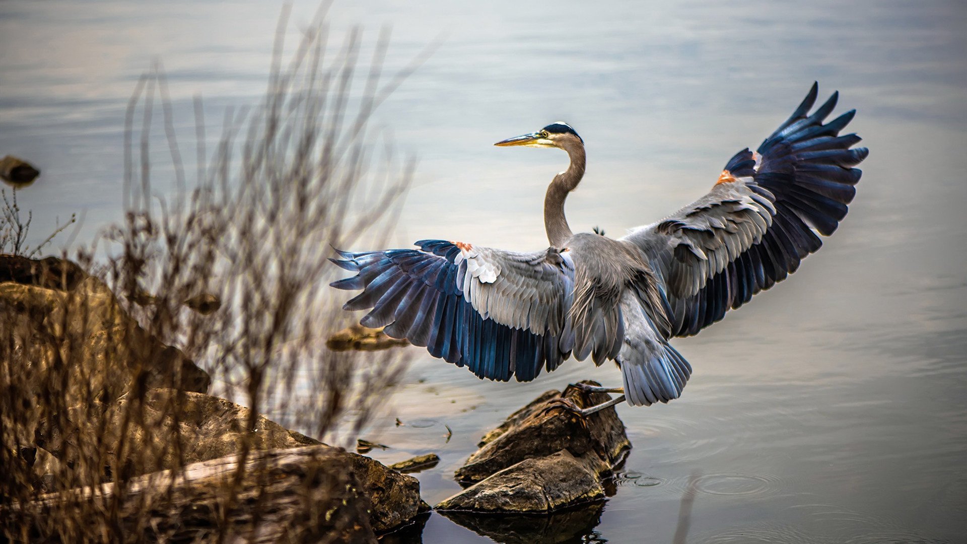 九游-各俱乐部加快校园足球合作步伐，足球俱乐部与学校合作计划