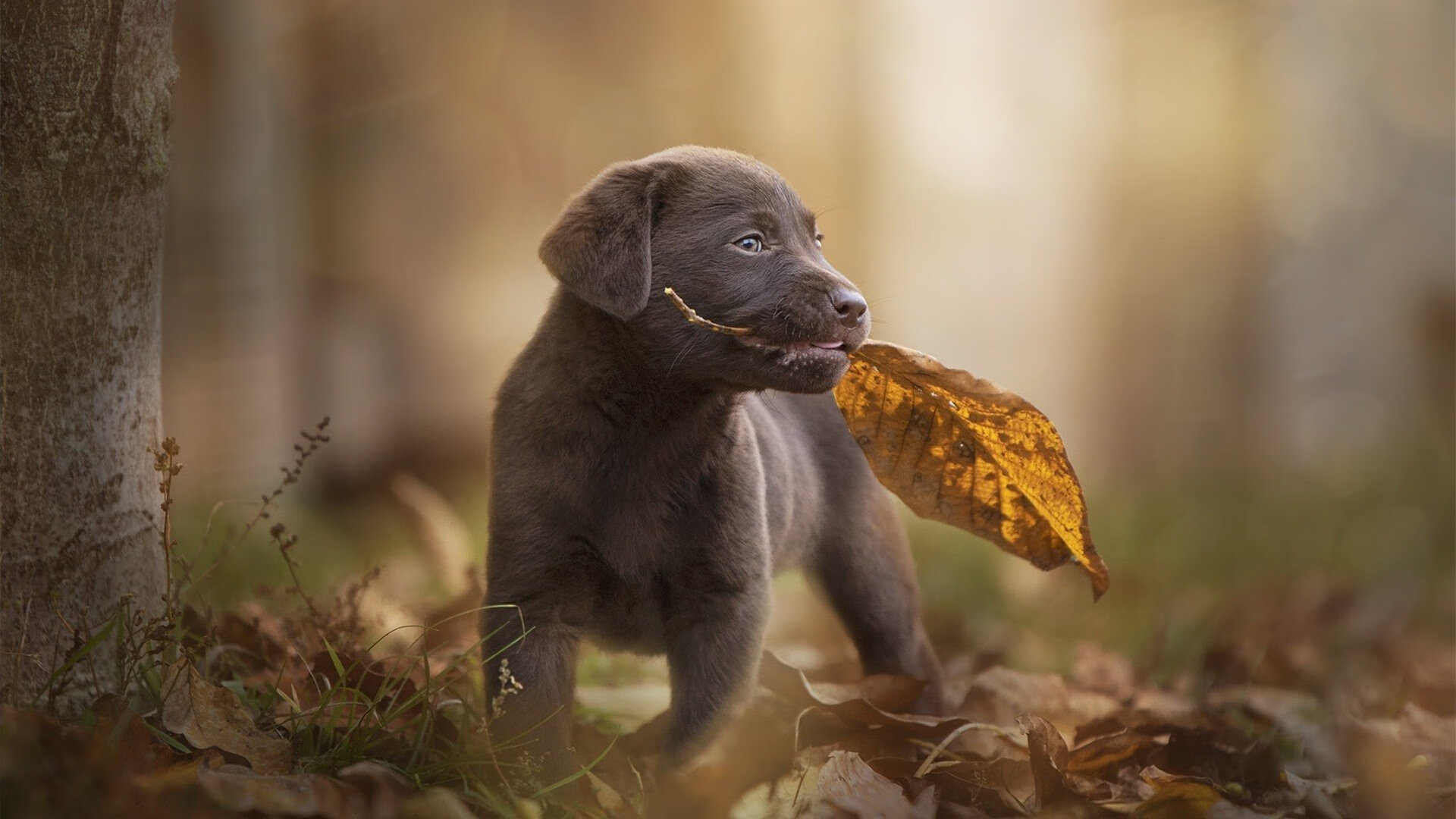 各国选手的比赛趣闻,跨越国界的友谊,各国参赛运动员
